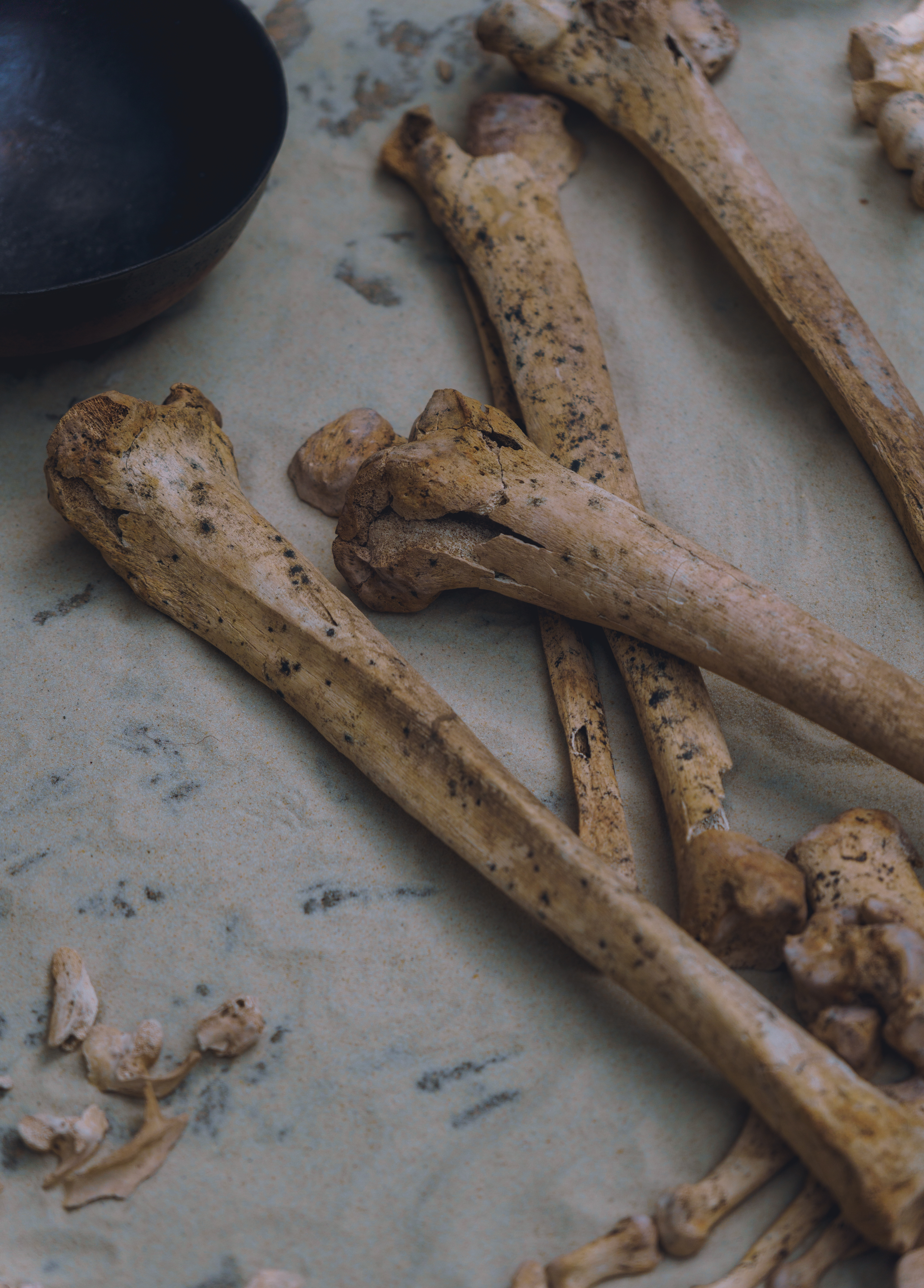 Loose Bones